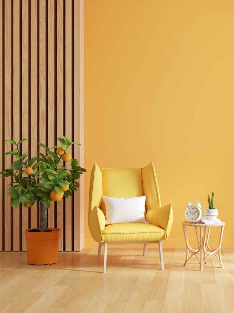 Beyond Greige: Bold & Beautiful Color Palettes for the New Year