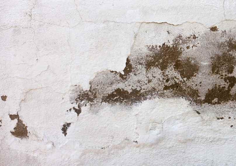 Shielding Your Home: Top Strategies to Prevent Dampness in Walls