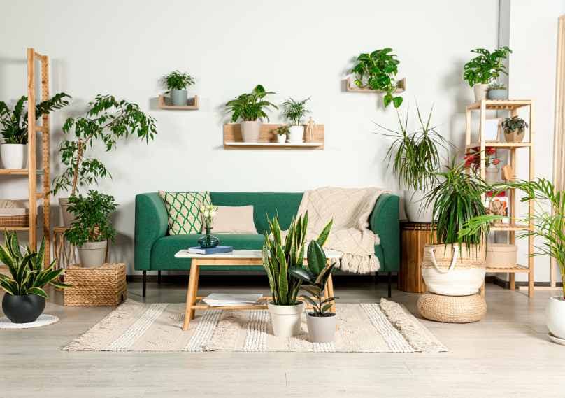 Green Coolants: Transform Your Space with Indoor Plants that Beat the Heat 