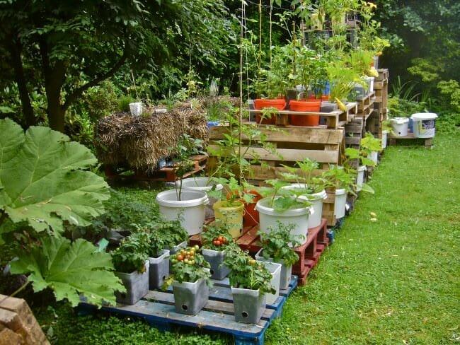 7.Pallet_garden