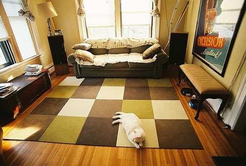 Elegant-Living-Room-Rug