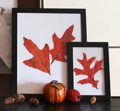 framed autumn leaves
