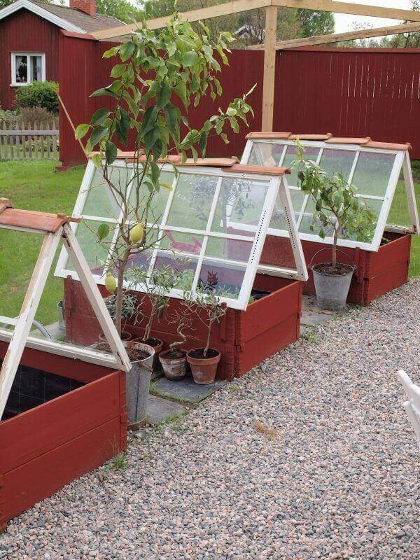 DIY green house ideas