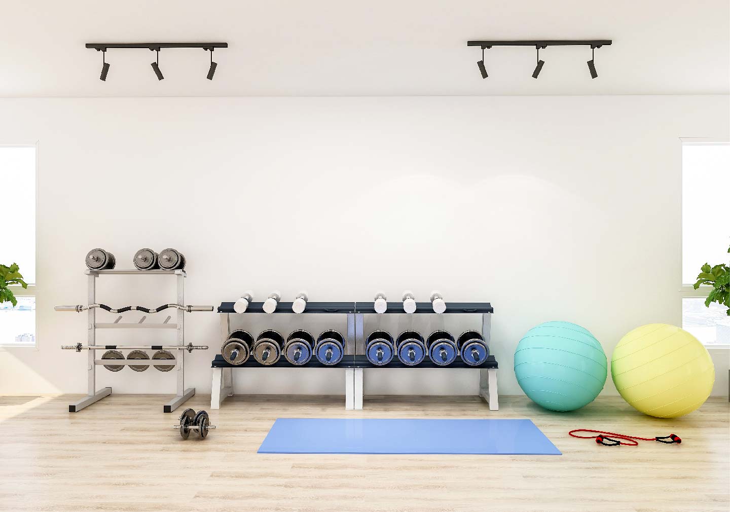 home gym ideas