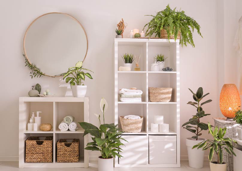 A Beginner's Guide to Various Bathroom Shelves Design