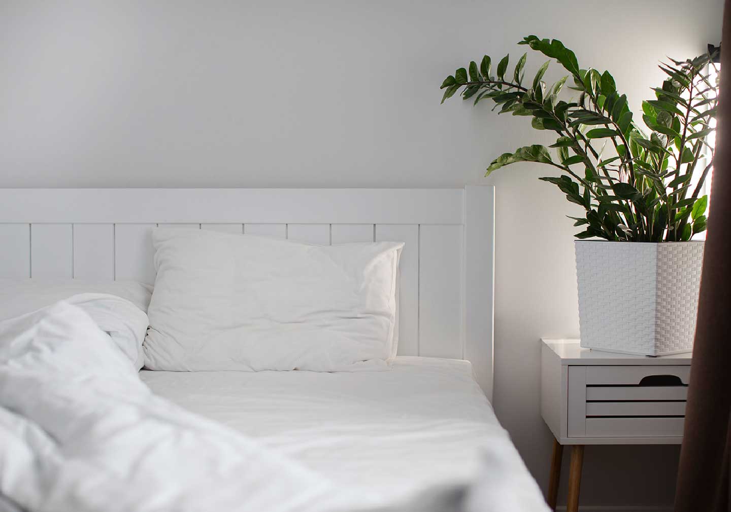 Caring for Indoor Plants in the Bedroom 