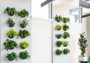 Wall Decor Incorporating Plants