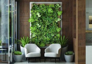 Living Wall of Plants