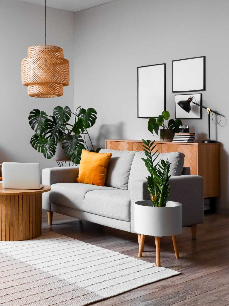 Hawaiin Tropical Luxe Design Theme