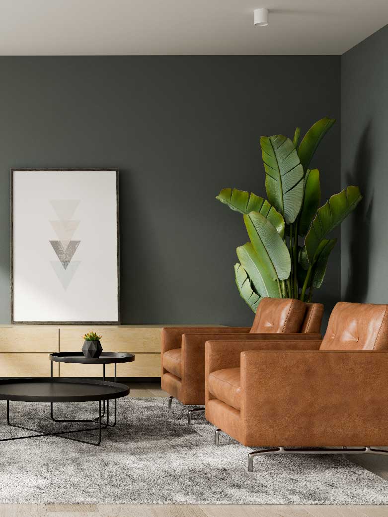 Minimalist Looks for a Compact House [2023]