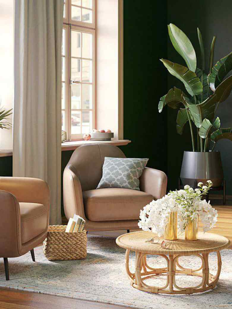 Sustainable Furniture: Eco-Friendly Choices for a Greener Home