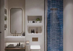 Toilet and Bathroom Direction as per Vastu