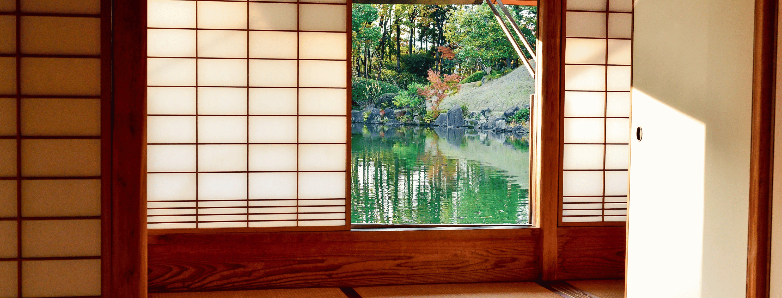 Unveiling the Latest Grill Designs of 2024 by Bonito Designs