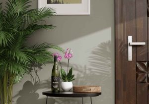 home decor with plants