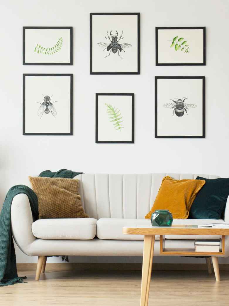 Home Sweet Wow: Experience the Art of Interior Design Like Never Before!