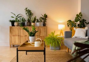 eco-friendly living room 