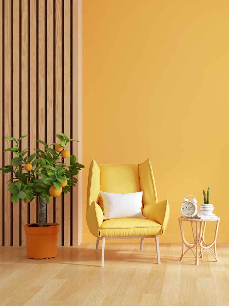 Beyond Greige: Bold & Beautiful Color Palettes for the New Year