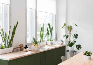Integration of Natural Elements in kitchen design